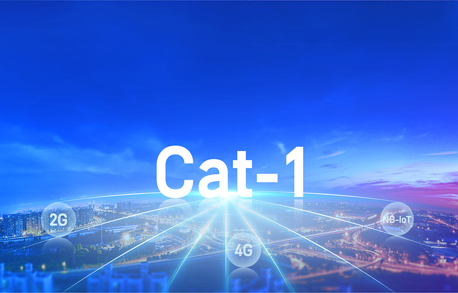 Cat-1？榈奈蠢词谐